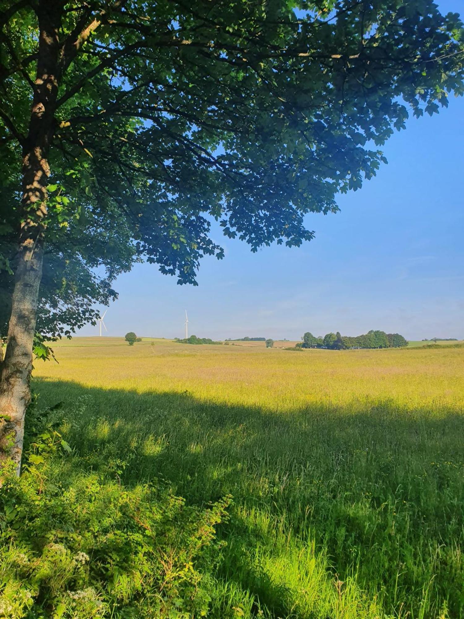 Schoene Aussicht Nettersheim Bagian luar foto
